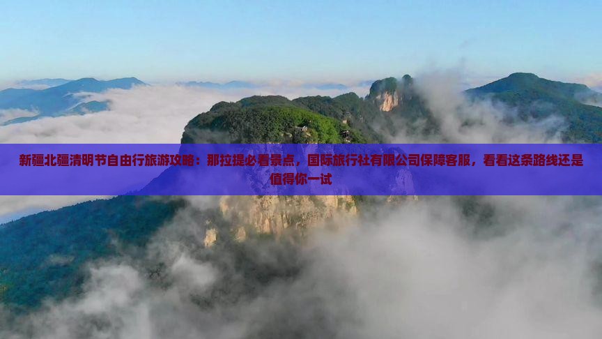 清明节到新疆自由团