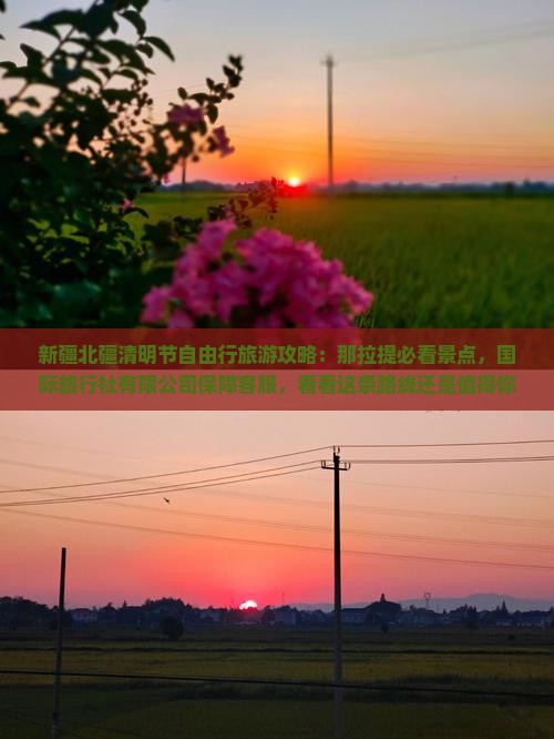清明节到新疆自由团