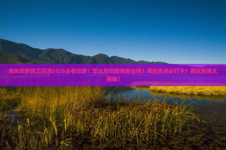 海东到新疆三日游
