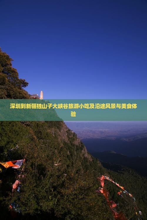 深圳到新疆独山子大峡谷旅游小吃