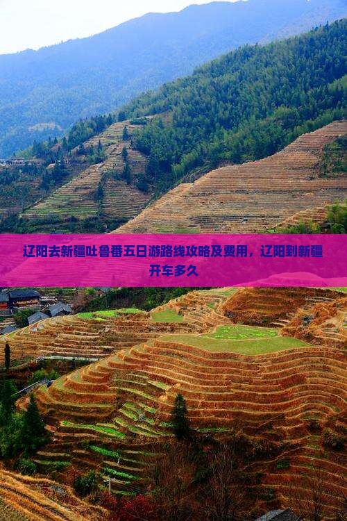 辽阳去新疆吐鲁番五日游