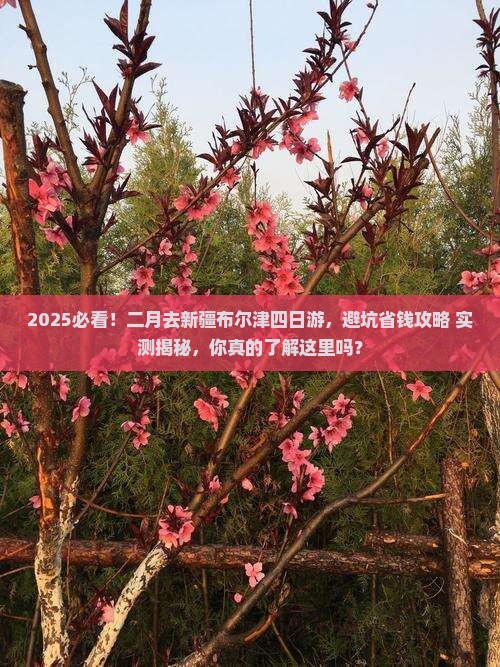 二月去新疆布尔津四日游