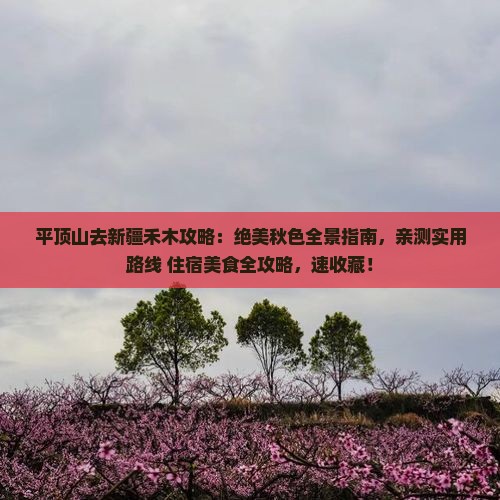 平顶山去新疆禾木攻略