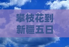 攀枝花到新疆五日游