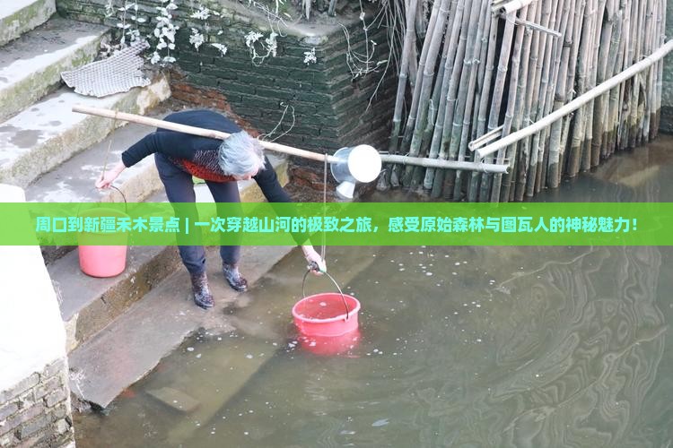 周口到新疆禾木景点