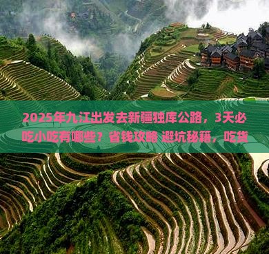 九江去新疆独库公路旅游小吃