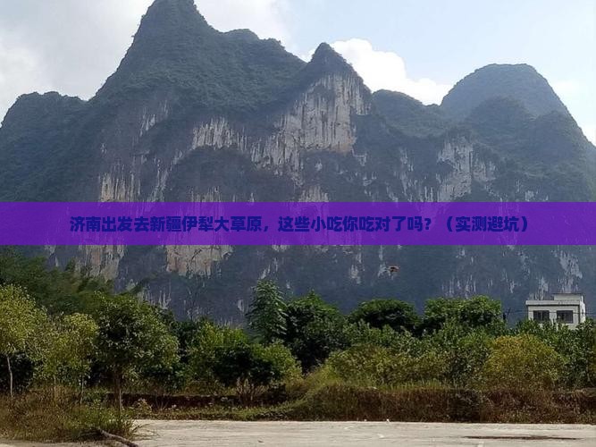 济南到新疆伊犁大草原旅游小吃