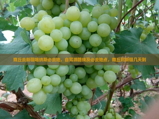 商丘去新疆喀纳斯必去地