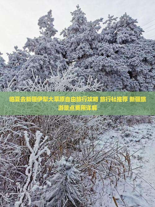 临夏去新疆伊犁大草原自由团 临夏去新疆伊犁大草原自由团