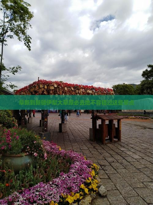阜新到新疆伊犁大草原必去地