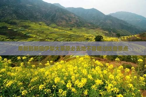 阜新到新疆伊犁大草原必去地