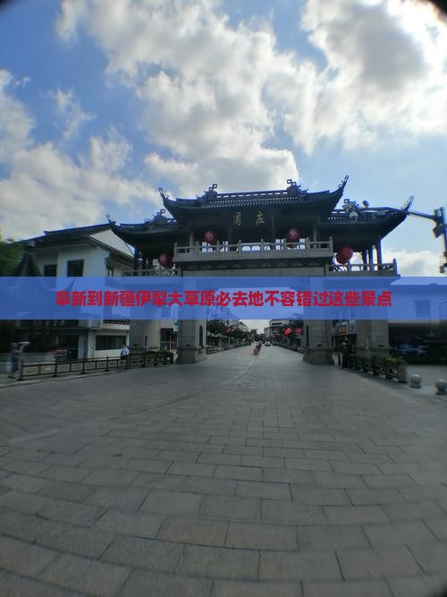 阜新到新疆伊犁大草原必去地