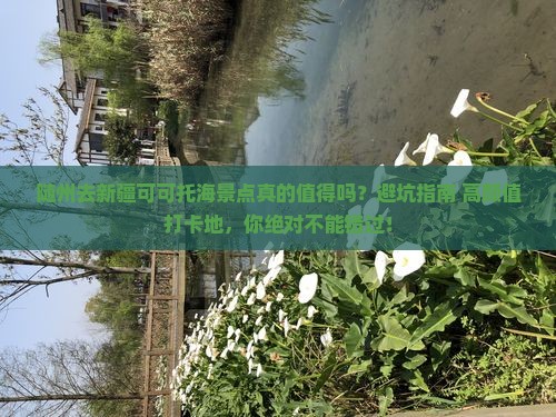 随州去新疆可可托海景点