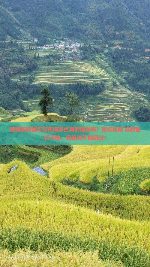随州去新疆可可托海景点