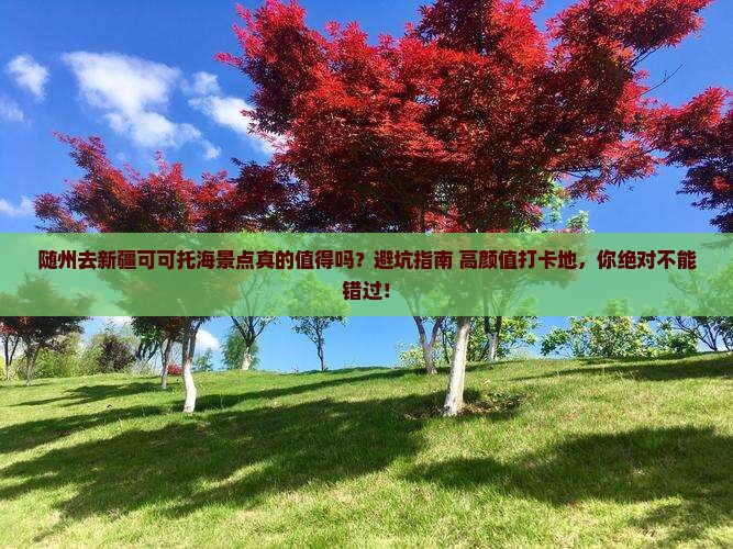 随州去新疆可可托海景点