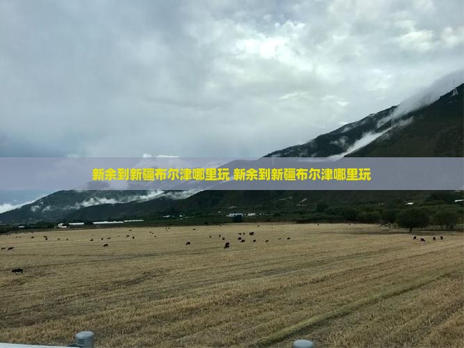 新余到新疆布尔津哪里玩