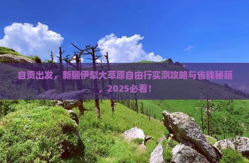 自贡到新疆伊犁大草原自由团