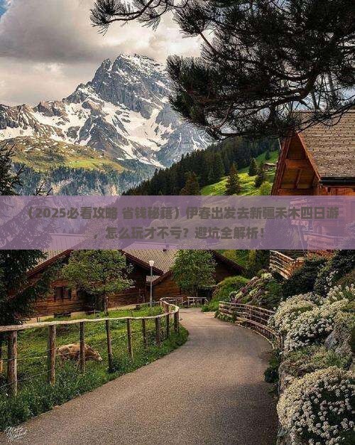 伊春去新疆禾木四日游