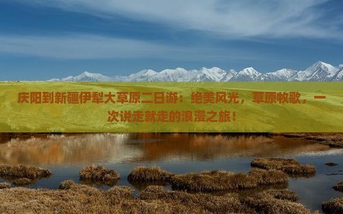 庆阳到新疆伊犁大草原二日游