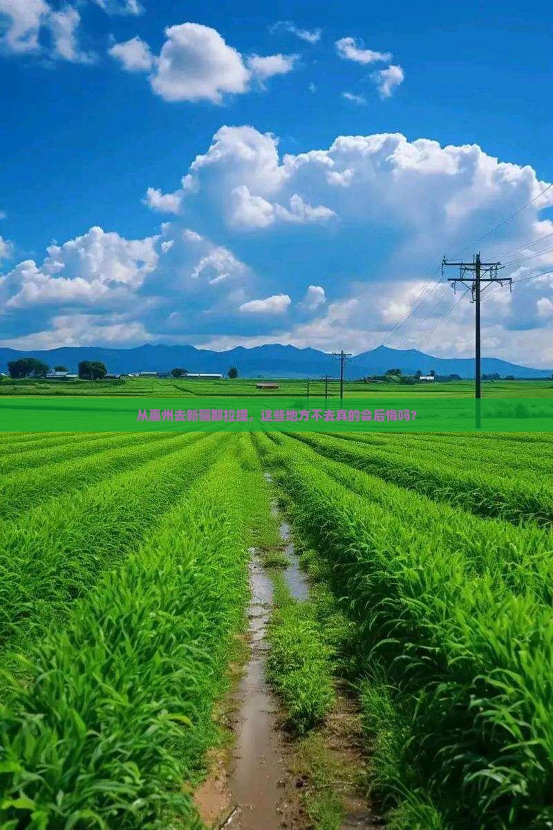惠州到新疆那拉提必去地
