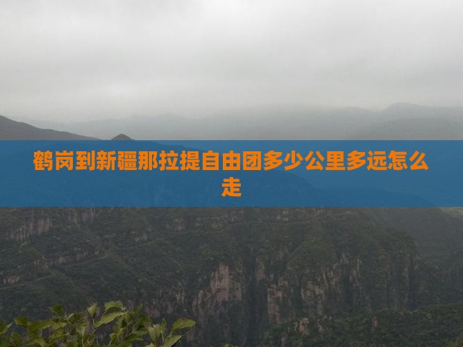 鹤岗到新疆那拉提自由团