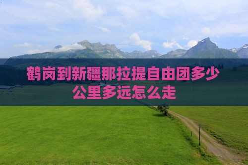 鹤岗到新疆那拉提自由团