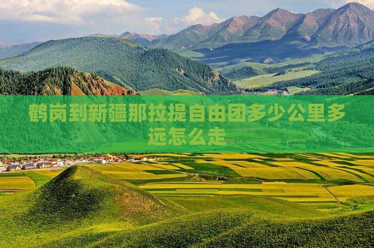 鹤岗到新疆那拉提自由团
