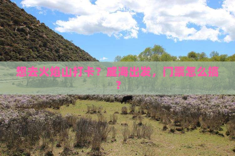 威海去新疆火焰山门票