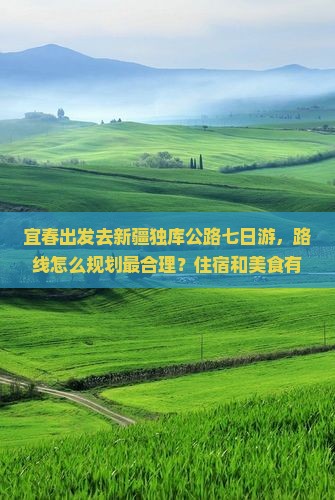 宜春去新疆独库公路七日游