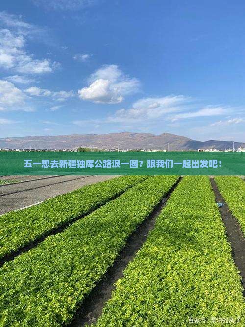 劳动节去新疆独库公路团体旅游