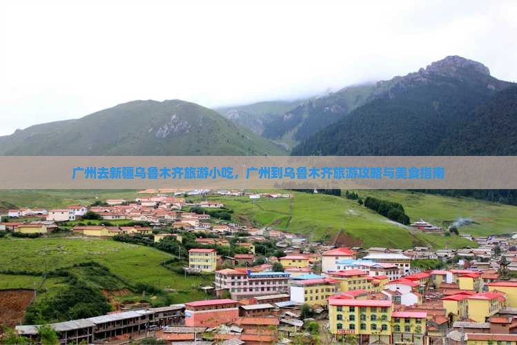 广州去新疆乌鲁木齐旅游小吃