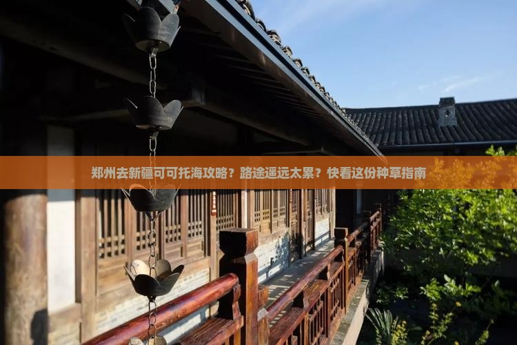 郑州去新疆可可托海攻略