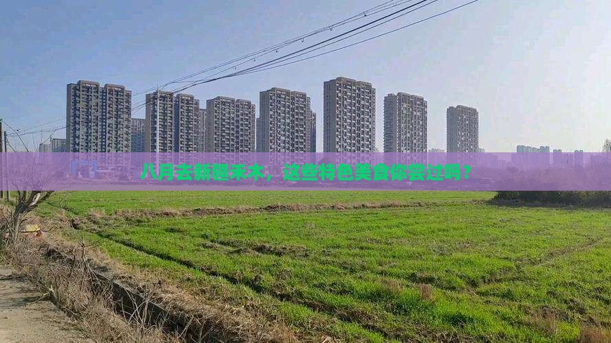 八月去新疆禾木旅游小吃