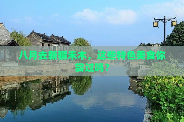 八月去新疆禾木旅游小吃