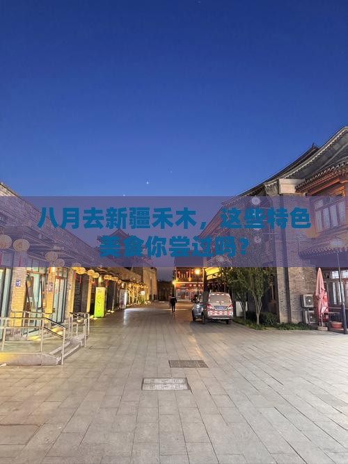 八月去新疆禾木旅游小吃