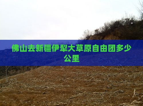 佛山去新疆伊犁大草原自由团