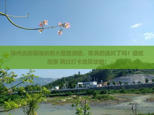 扬州去新疆喀纳斯大型旅游团