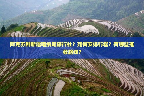 阿克苏到新疆喀纳斯旅行社