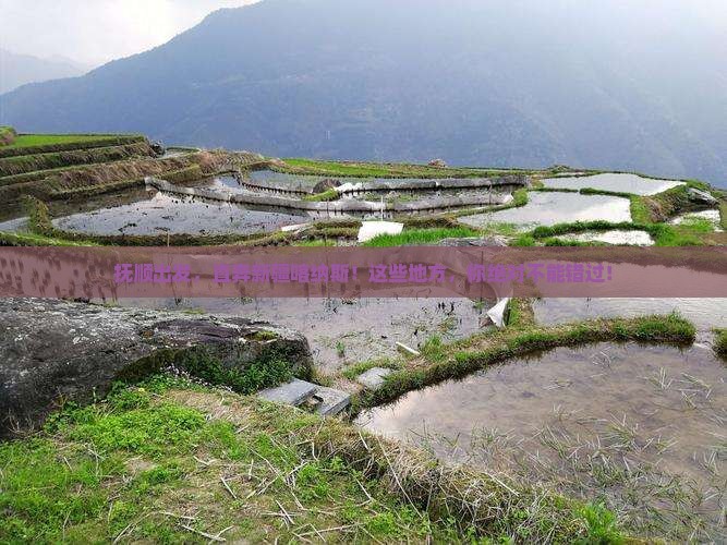 抚顺到新疆喀纳斯必去地