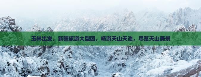 玉林到新疆天山天池大型旅游团