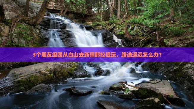 白山到新疆那拉提自由团
