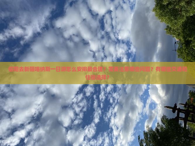 信阳去新疆喀纳斯一日