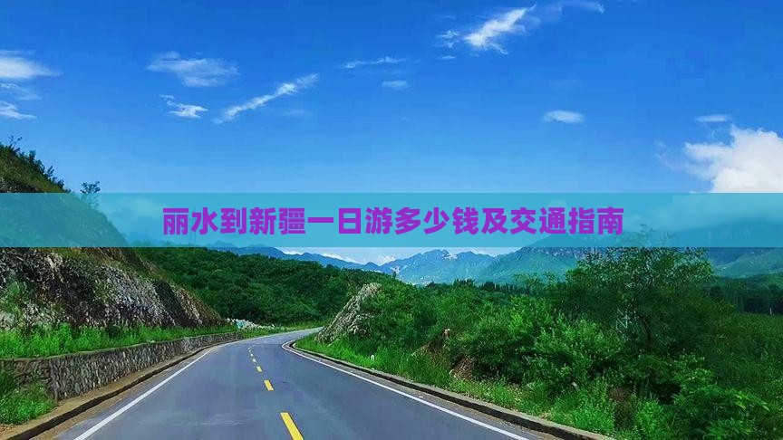丽水到新疆一日