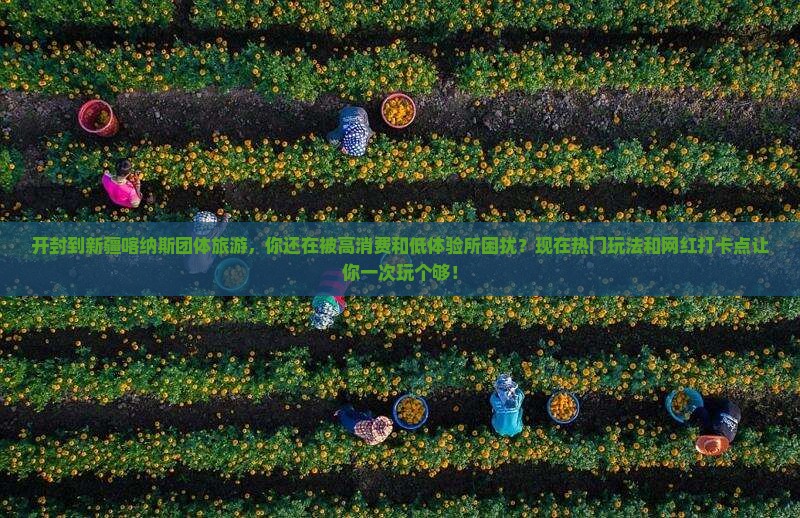 开封到新疆喀纳斯团体旅游