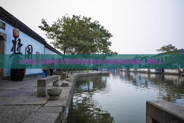 商丘去新疆伊犁大草原旅游小吃