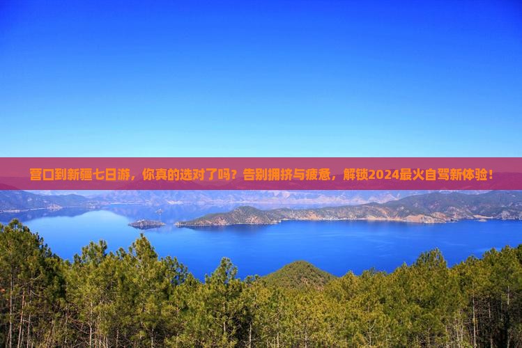 营口到新疆七日游