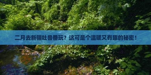 二月到新疆吐鲁番哪里玩