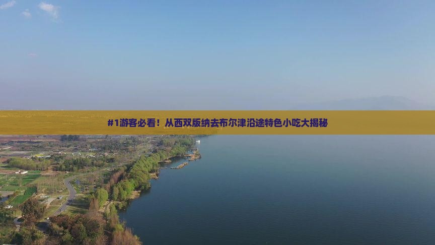 西双版纳到新疆布尔津旅游小吃