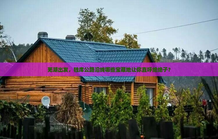 芜湖去新疆独库公路必去地
