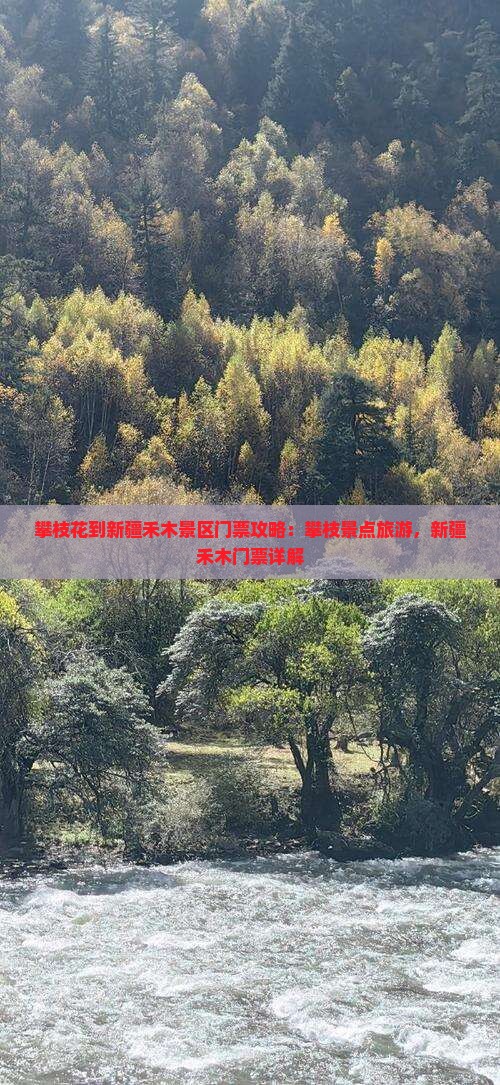 攀枝花到新疆禾木门票